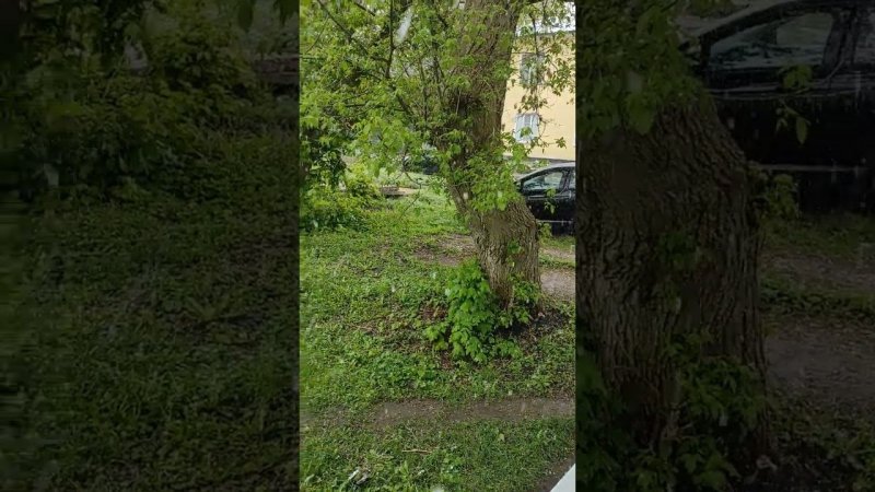 Коротко о погоде