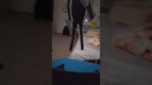 Они обманули меня