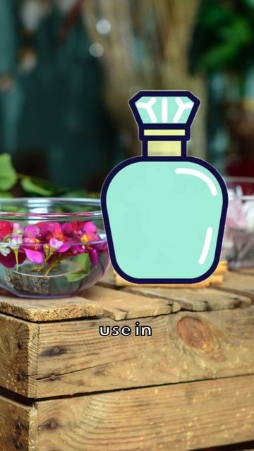 Do whales prevent plague? #medicalhistory #shorts смотреть онлайн