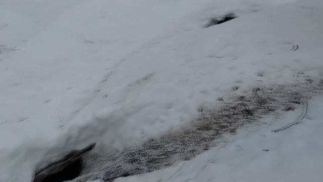 Пруд имени Хольцера. Март 2019