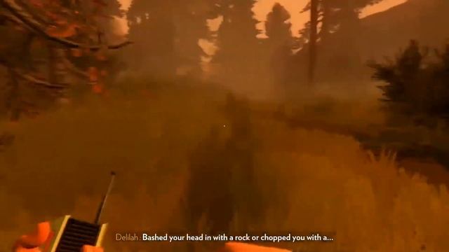 Firewatch Part 10 | A CLIMBING ACCIDENT...