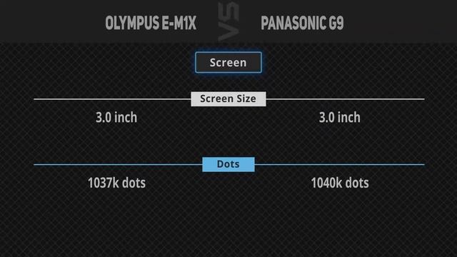 Olympus E-M1X vs Panasonic Lumix G9   [Camera Battle]