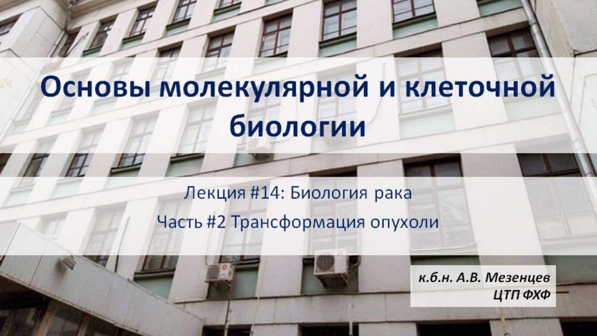 Основы молекулярной и клеточной биологии (2024) Лекция 14 Биология рака Ч2 Трансформация опухоли