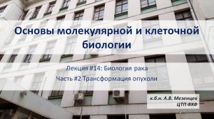 Основы молекулярной и клеточной биологии (2024) Лекция 14 Биология рака Ч2 Трансформация опухоли