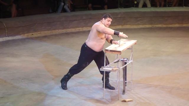 Дмитрий Халаджи, Цирк Киев-2013, программа "Але-Ап!" смотреть онлайн