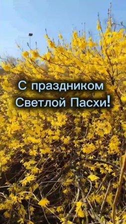 #пасха #свет #радость