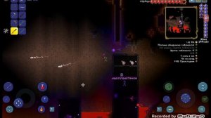 Сломанный Сид?!?! Золотой Кролик x Nozzer