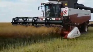 Акрос 550 уборка рапса