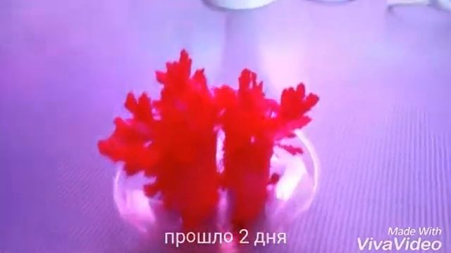 Лучистые кристаллы.эксперемент. смотреть онлайн