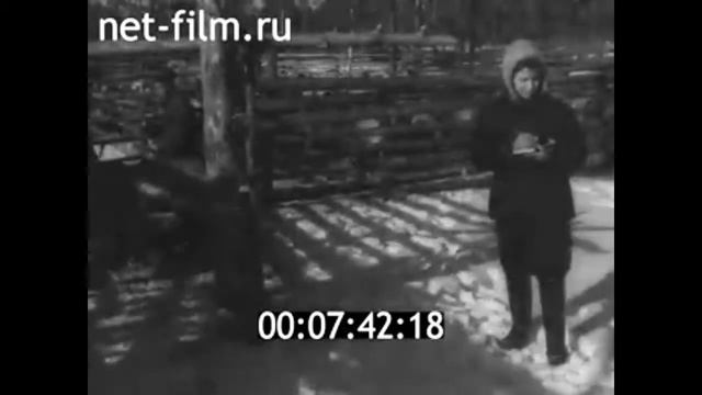 1959г. совхоз Оленеводческий Кемский район Карелия смотреть онлайн