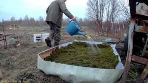 5 посадка брусники и клюквы