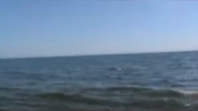 одна дорога к морю смотреть онлайн