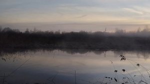 Хорошая утрянка с подсадными утками