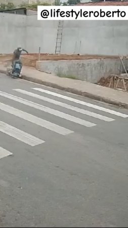 nesse mundo tem de tudo