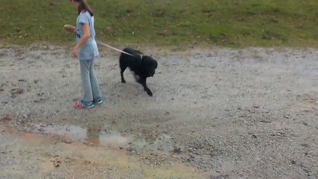 Scooter w/ Melissa 12-23-15 смотреть онлайн