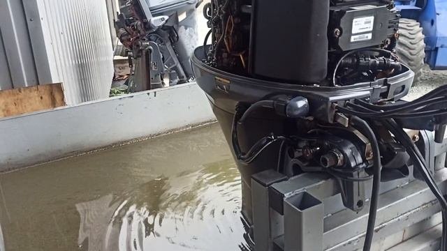 запуск Yamaha F40, 2006 год, мульти румпель и гидроподьем, Seamotors, Владивосток