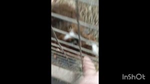 город Чита Романовский тракт. И это ещё не всё