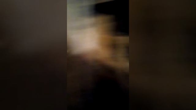 Кролики в деревни смотреть онлайн