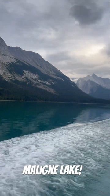 Maligne Lake! The largest natural lake in the Canadian Rocky Mountains! #albertaparks #cruise смотреть онлайн