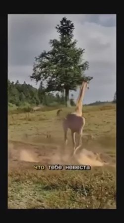 Жираф монстр