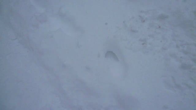 Заметённые мартовскм снегом дворы Курска 19.