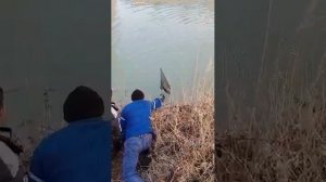 рыбалка в узбекистане