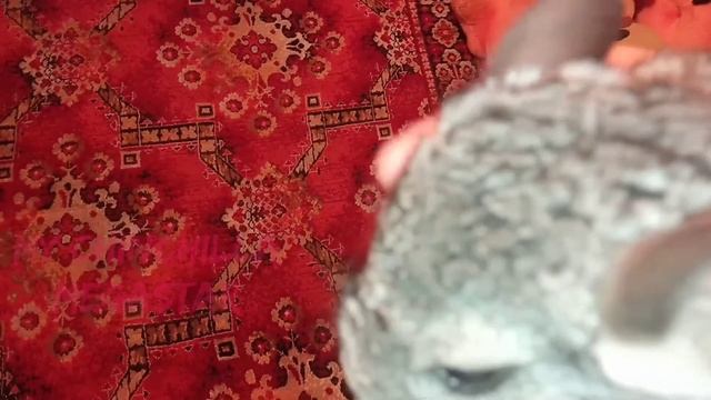 Звуки Шиншилл 📣 Щенок 3 Месяца Общается 🥰 / Chinchilla смотреть онлайн