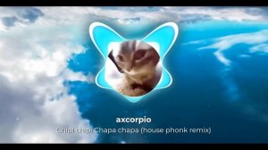 Chipi chipi Chapa chapa (House phonk Remix)