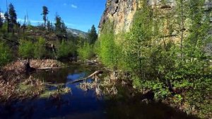 СБОРНИК КРАСИВЫХ МЕЛОДИЙ ДЛЯ ДУШИ 🔥 best music  Музыка Руслана Шпики