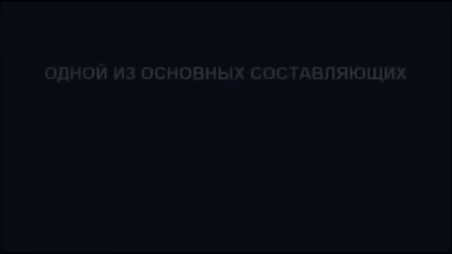 Когда мечты становятся реальностью