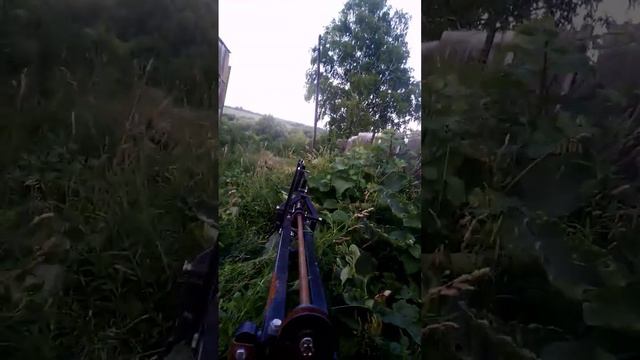 пастух тв