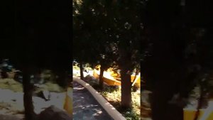 Аквапарк  г.Алушта