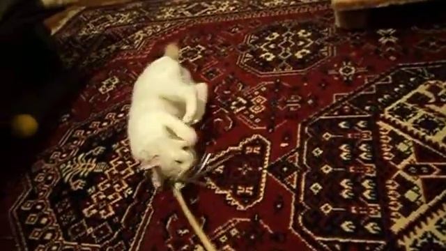 Зая и Яшма смотреть онлайн