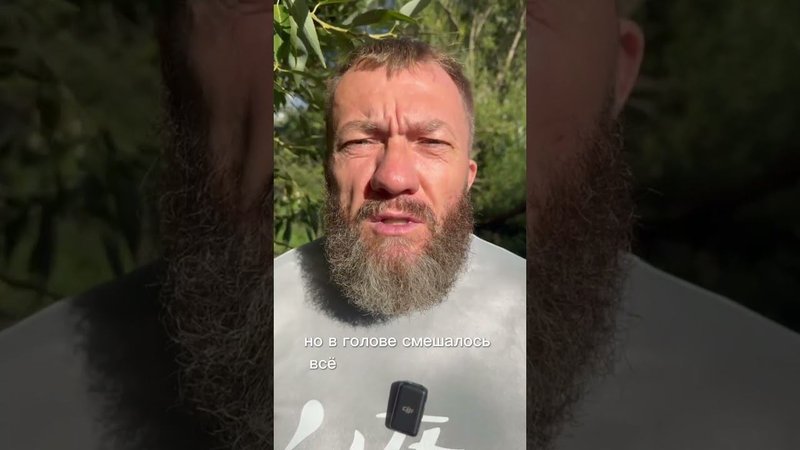 Фрагмент из моего стихотворения "Тем утром"