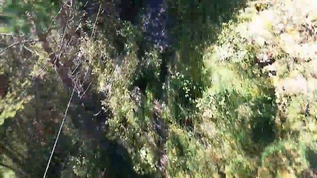 Полёт шмеля смотреть онлайн