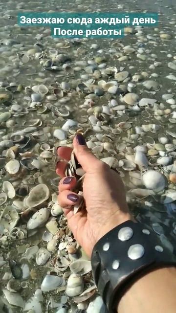 Новая Зеландия релакс на пляже шум прибоя море асмр feelgood