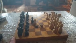 Канис и шахматы  Между чёрными и белыми