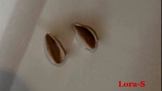 брелок Овечка смотреть онлайн