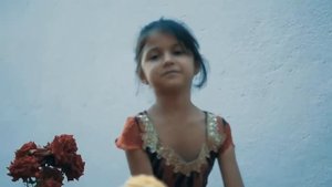 Сарвиноз Юсуфи - Фалак 2017