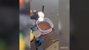 Хотел сазанов😎, открылся по карасю🤓. Первые караси сезона 2025