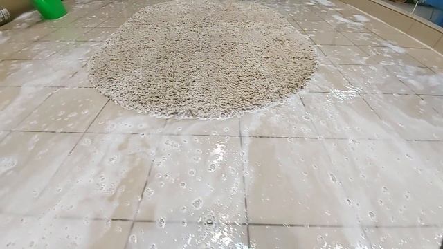 It's fluffy again / Washing the carpet with long pile: brush friction, a lot of foam and rinsing смотреть онлайн
