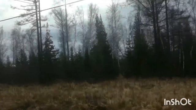 Сибирь/Красноярск/Долгожданная встреча/
