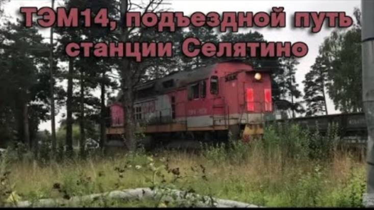 ТЭМ14, подъездной путь Селятино