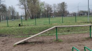 Пасха 2025 @ Моя Жизнь Кино @ Музей Псов