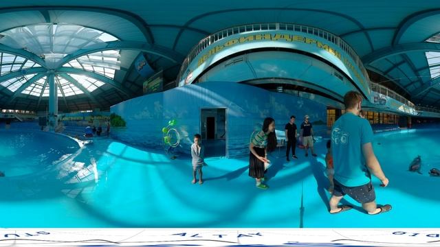 Dolphins VR 360/Алматинский дельфинарий «NEMO» смотреть онлайн