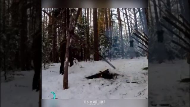 нодья
