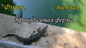 Фукуок/Вьетнам/Крокодиловая ферма