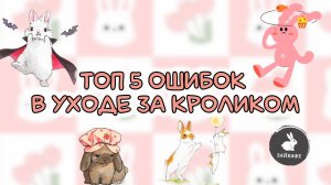 Топ 5 ошибок в содержании кролика: не делай так!