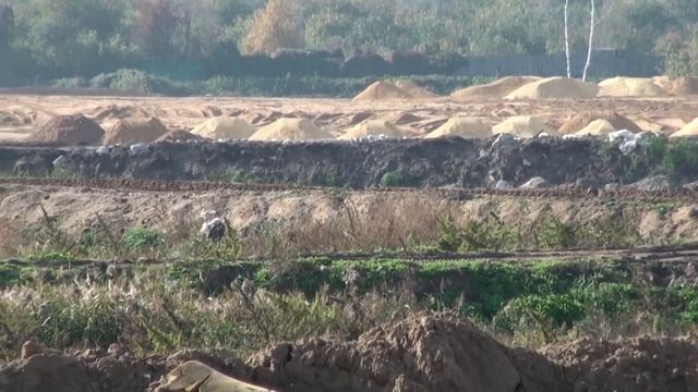 Будущий квартал на Люберецких полях смотреть онлайн