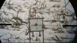 Тест секторной мишени от Алексея Осипова на 50, 100м